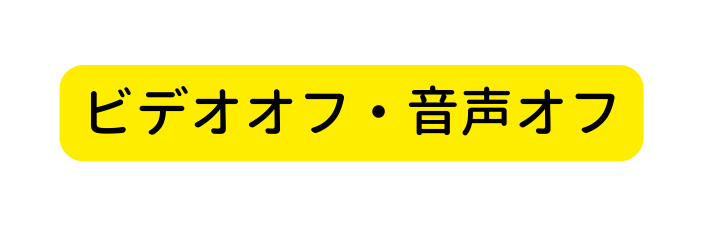 ビデオオフ 音声オフ