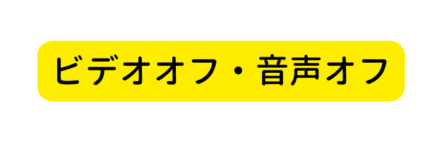 ビデオオフ 音声オフ
